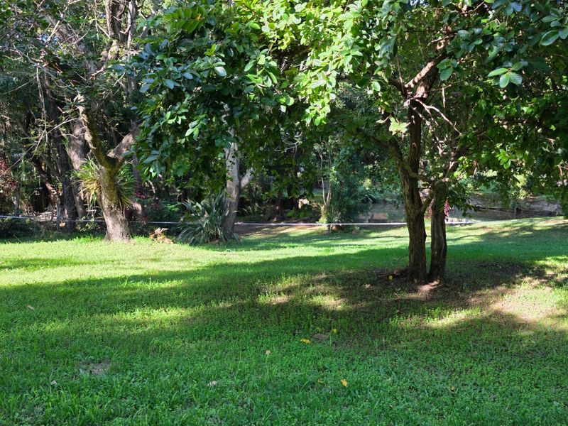 Vacant Stand with Stream Frontage in a Peaceful Setting - Photo 3