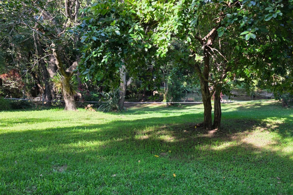 Vacant Stand with Stream Frontage in a Peaceful Setting - Photo 3