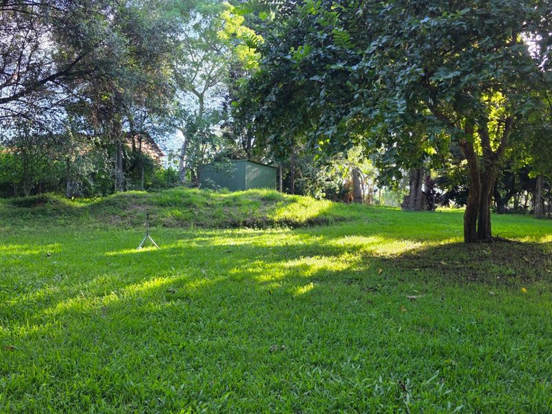 Vacant Stand with Stream Frontage in a Peaceful Setting - Photo 4