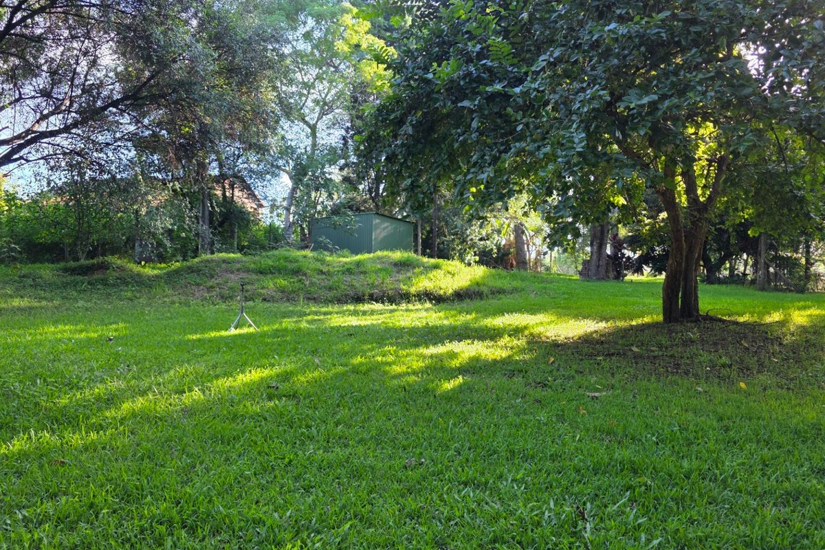 Vacant Stand with Stream Frontage in a Peaceful Setting - Photo 4