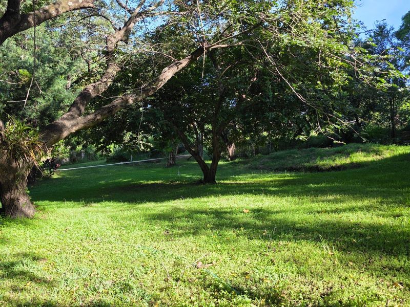 Vacant Stand with Stream Frontage in a Peaceful Setting - Photo 2
