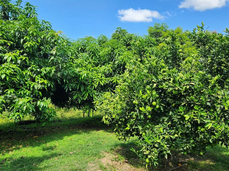 Farm with 3 houses, exceptional views and  arable agricultural land to be developed. - Photo 3