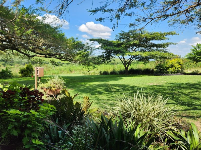 Farm with 3 houses, exceptional views and  arable agricultural land to be developed. - Photo 2