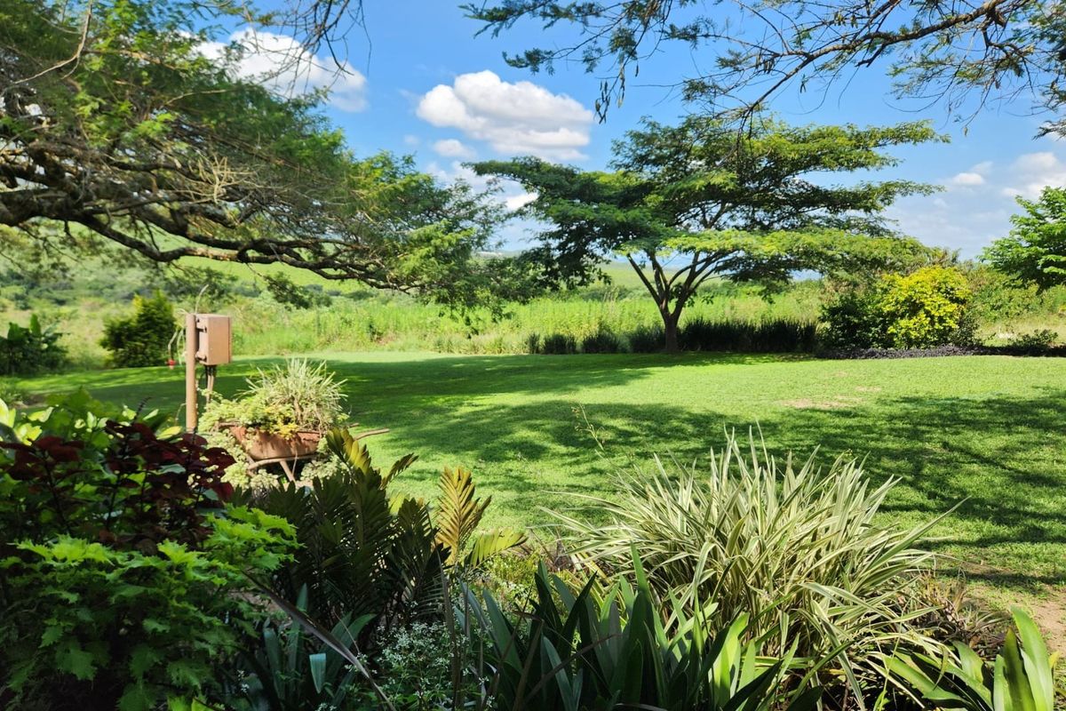 Farm with 3 houses, exceptional views and  arable agricultural land to be developed. - Photo 2
