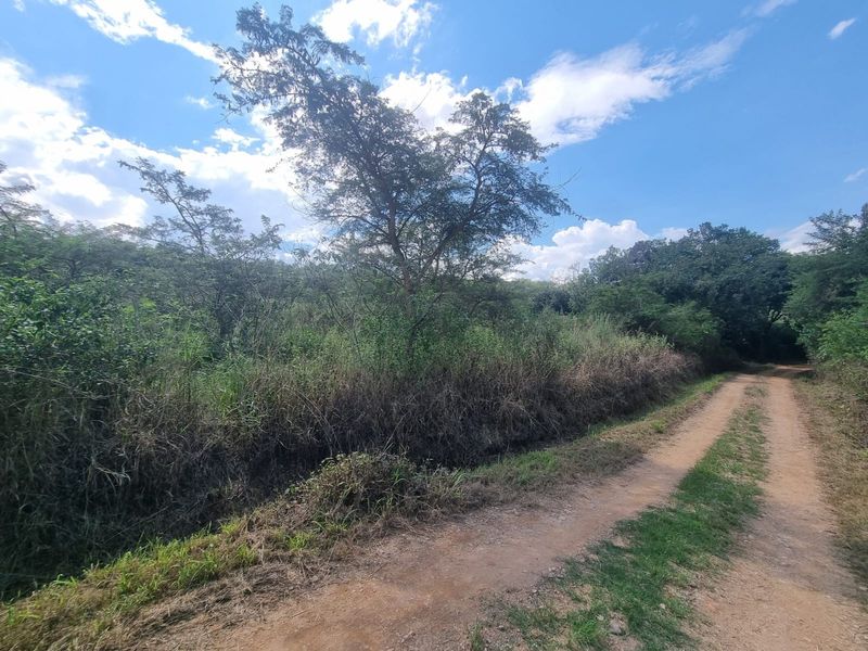Farm with 3 houses, exceptional views and  arable agricultural land to be developed. - Photo 7