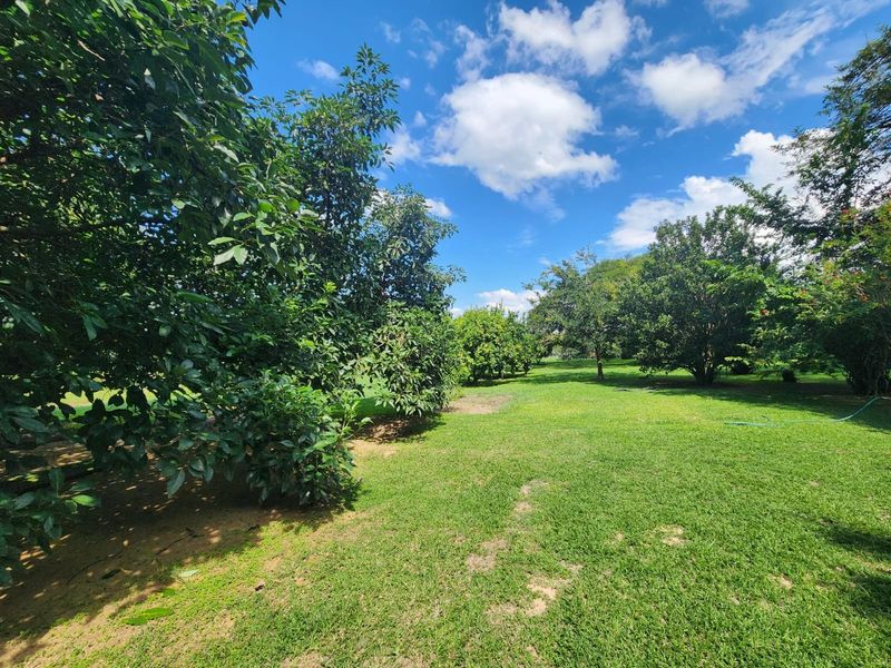 Farm with 3 houses, exceptional views and  arable agricultural land to be developed. - Photo 6