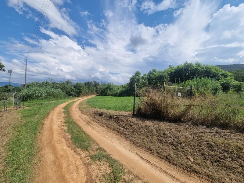 Farm with 3 houses, exceptional views and  arable agricultural land to be developed. - Photo 5