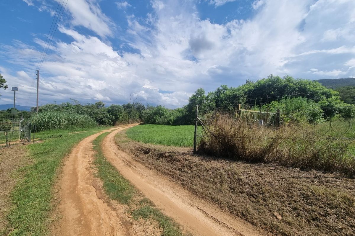 Farm with 3 houses, exceptional views and  arable agricultural land to be developed. - Photo 5