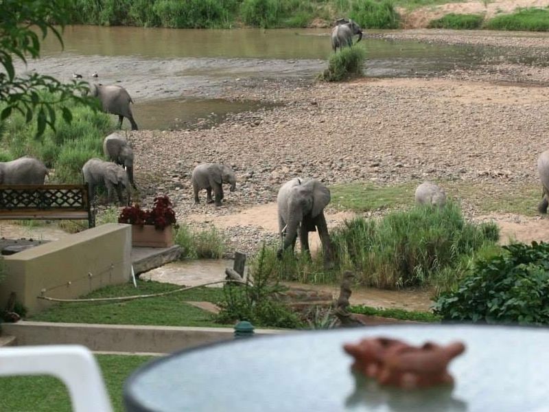 A scenic outdoor view overlooking a riverbank with natural wildlife, featuring a paved patio area and retaining wall structure.