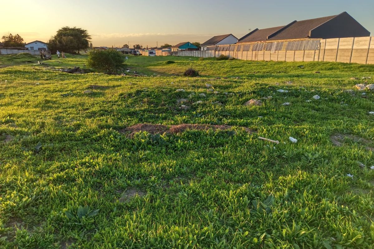 A view of a vacant residential plot featuring grassy terrain, bordered by a perimeter wall and neighboring residential properties.