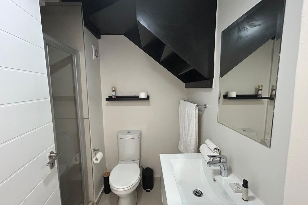 Compact bathroom featuring a shower enclosure, modern vanity basin, wall-mounted mirror, and toilet, situated under a staircase.