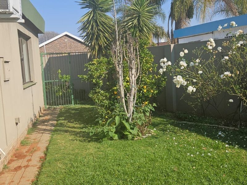 A side garden area featuring a paved walkway, lawn, established trees, and a perimeter boundary wall.