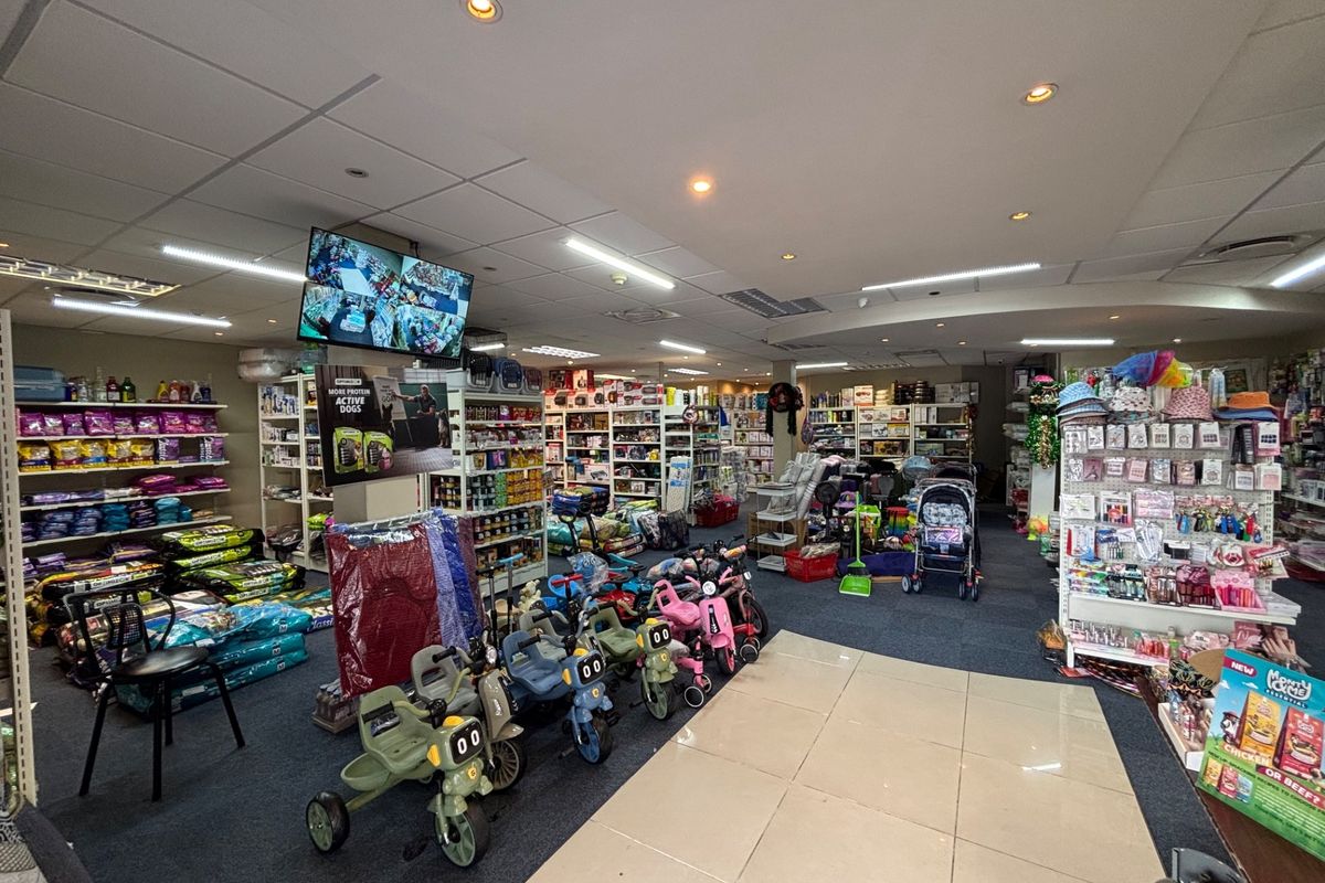 Interior view of a retail space featuring a mix of carpet and tiled flooring, suspended ceiling with integrated lighting, and various retail shelving units.