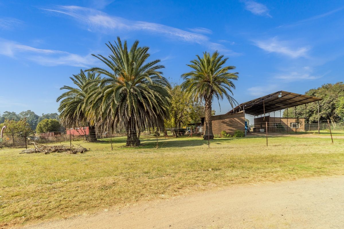 A wide view of the farm property featuring mature palm trees, open grassy grounds, and a large open-sided metal structure.