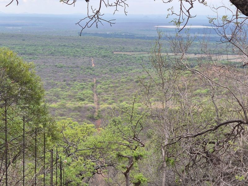 Vacant Land For Sale in Canyon Game Reserve, Hoedspruit - Photo 10