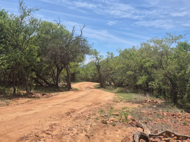 Vacant Land For Sale in Canyon Game Reserve, Hoedspruit - Photo 4