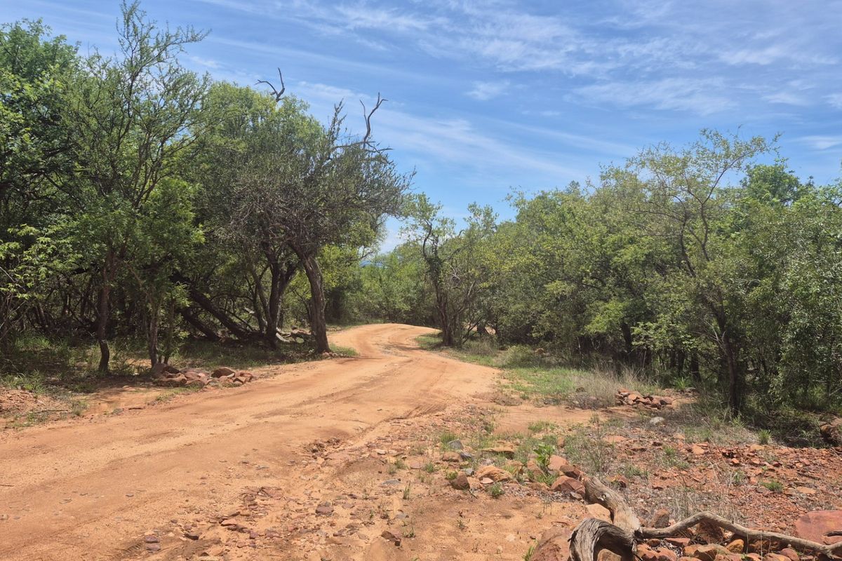 Vacant Land For Sale in Canyon Game Reserve, Hoedspruit - Photo 4