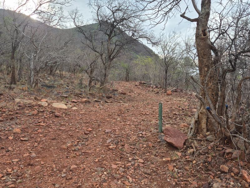 Vacant Land For Sale in Canyon Game Reserve, Hoedspruit - Photo 8