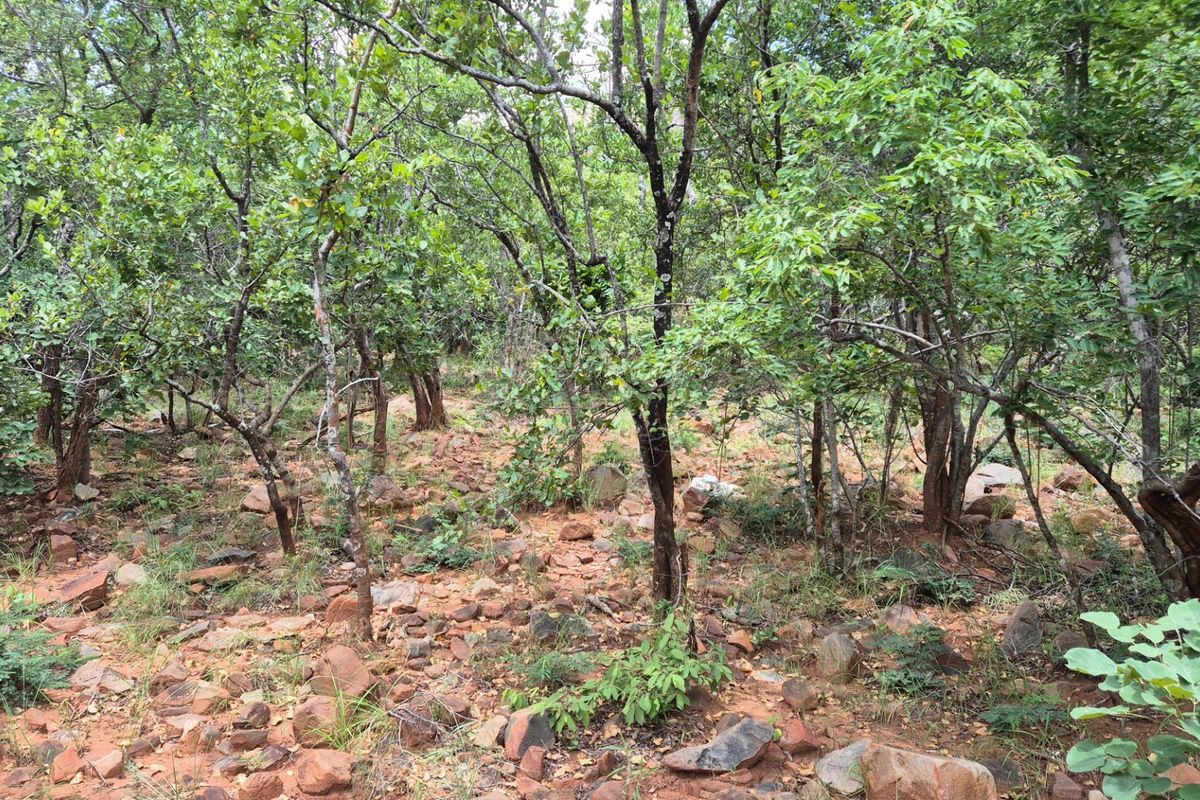 Vacant Land For Sale in Canyon Game Reserve, Hoedspruit - Photo 2