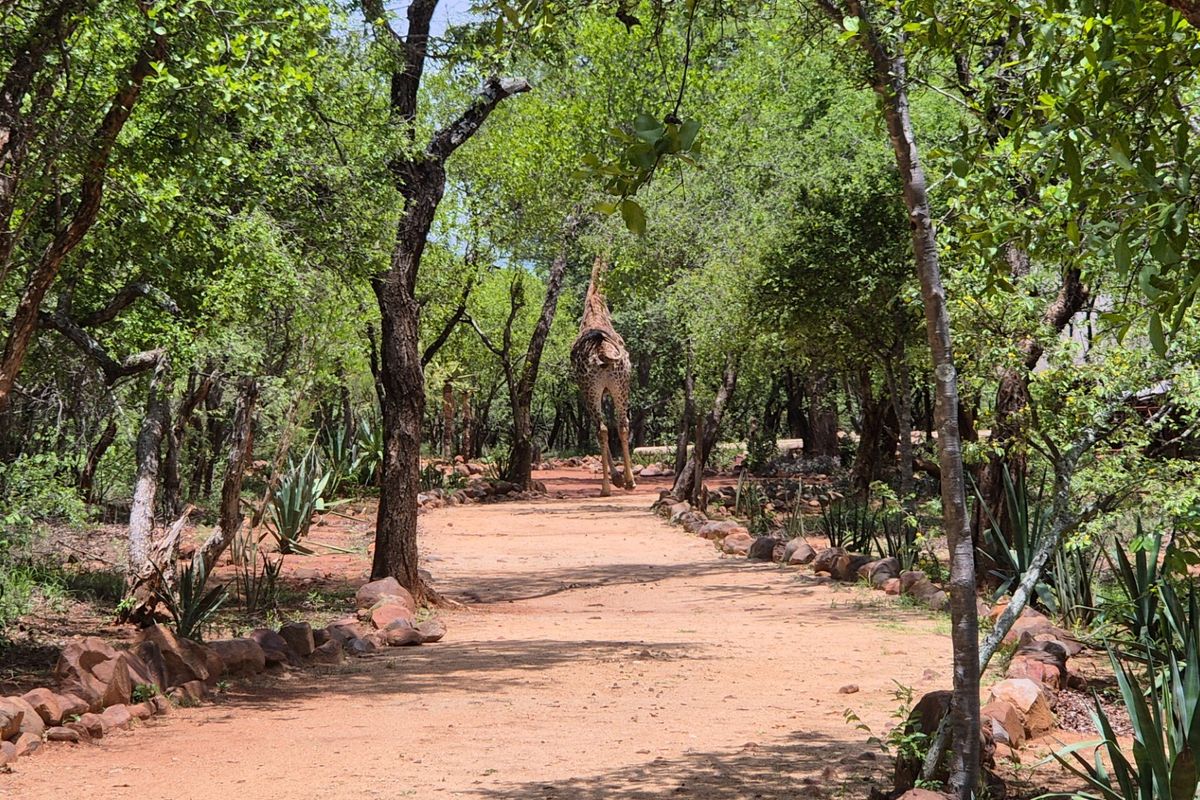 Vacant Land For Sale in Canyon Game Reserve, Hoedspruit - Photo 5