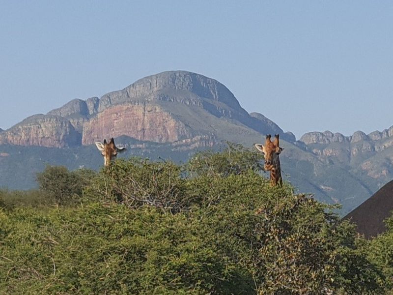 Vacant Land With Mountain View For Sale in Blyde Wildlife Estate, Hoedspruit - Photo 3