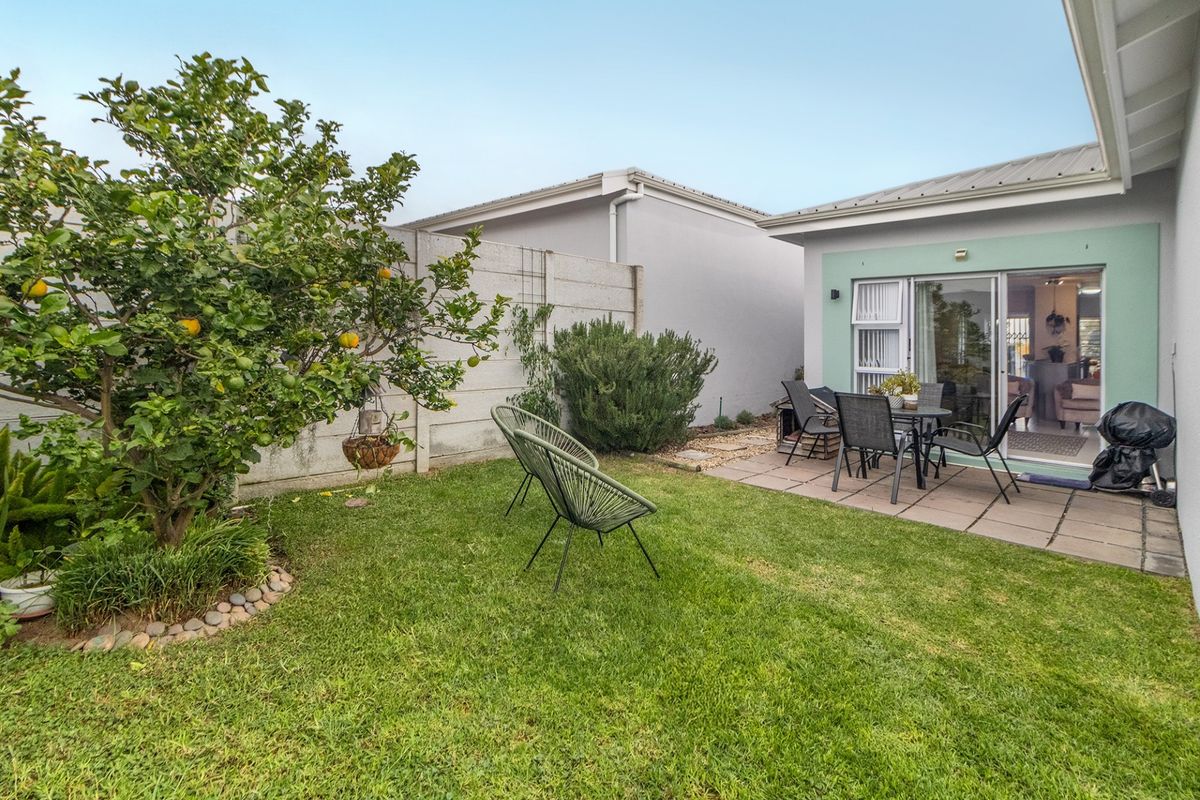 A private rear garden featuring a paved patio area, established lemon tree, and lawn, providing a pleasant outdoor space accessible from the living area.