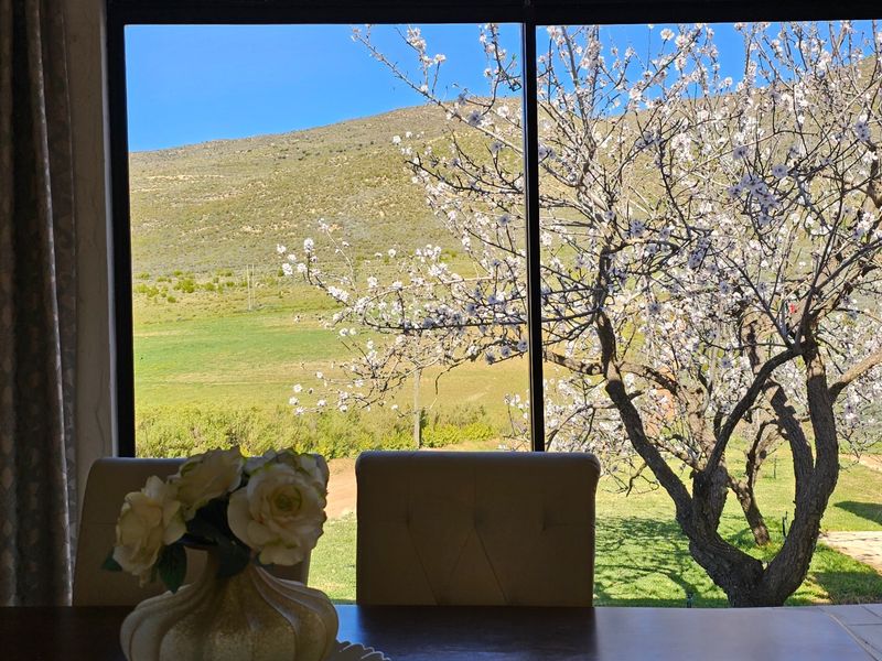 Fully Furnished Bachelor Flat on a Secure Lifestyle Farm - Photo 8
