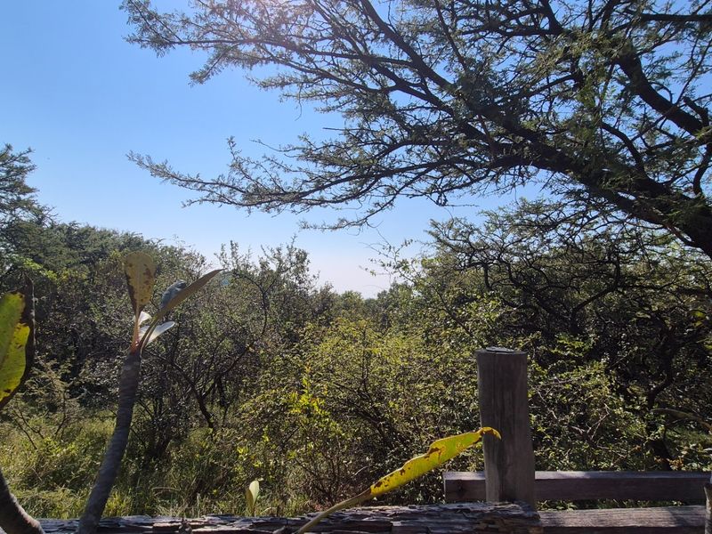 Modern Two Bedroomed house with two Flatlets in Kampersrus, Hoedspruit - Photo 5