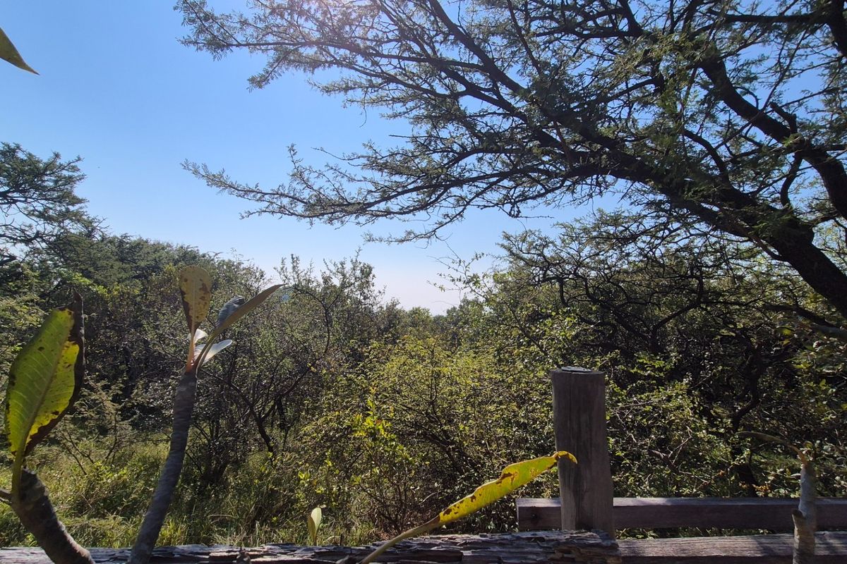 Modern Two Bedroomed house with two Flatlets in Kampersrus, Hoedspruit - Photo 5