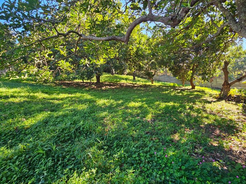 Vacant Land For Sale in Manaba Beach, Margate, KwaZulu Natal - Photo 3