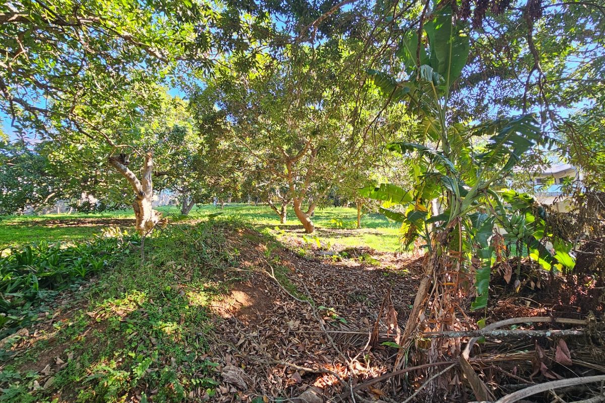 Vacant Land For Sale in Manaba Beach, Margate, KwaZulu Natal - Photo 2