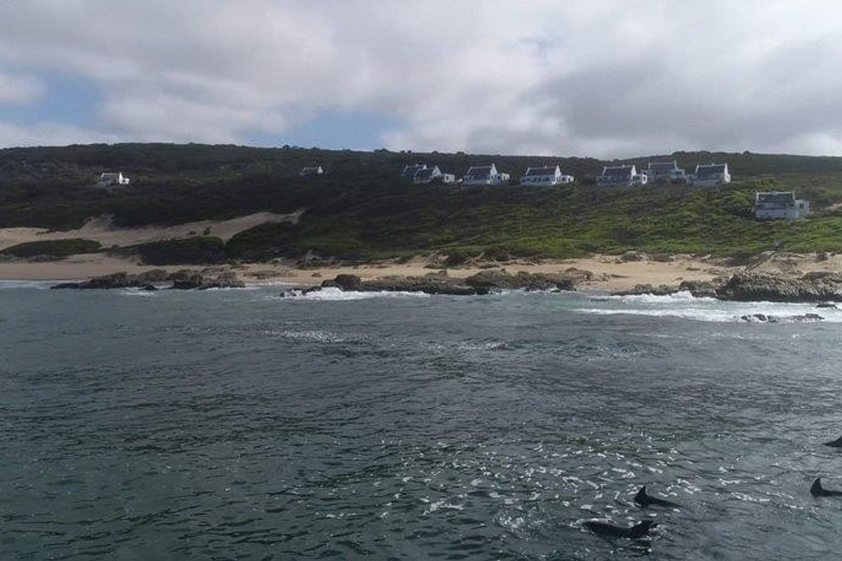 Farm For Sale in Stilbaai Rural, Stilbaai - Photo 2