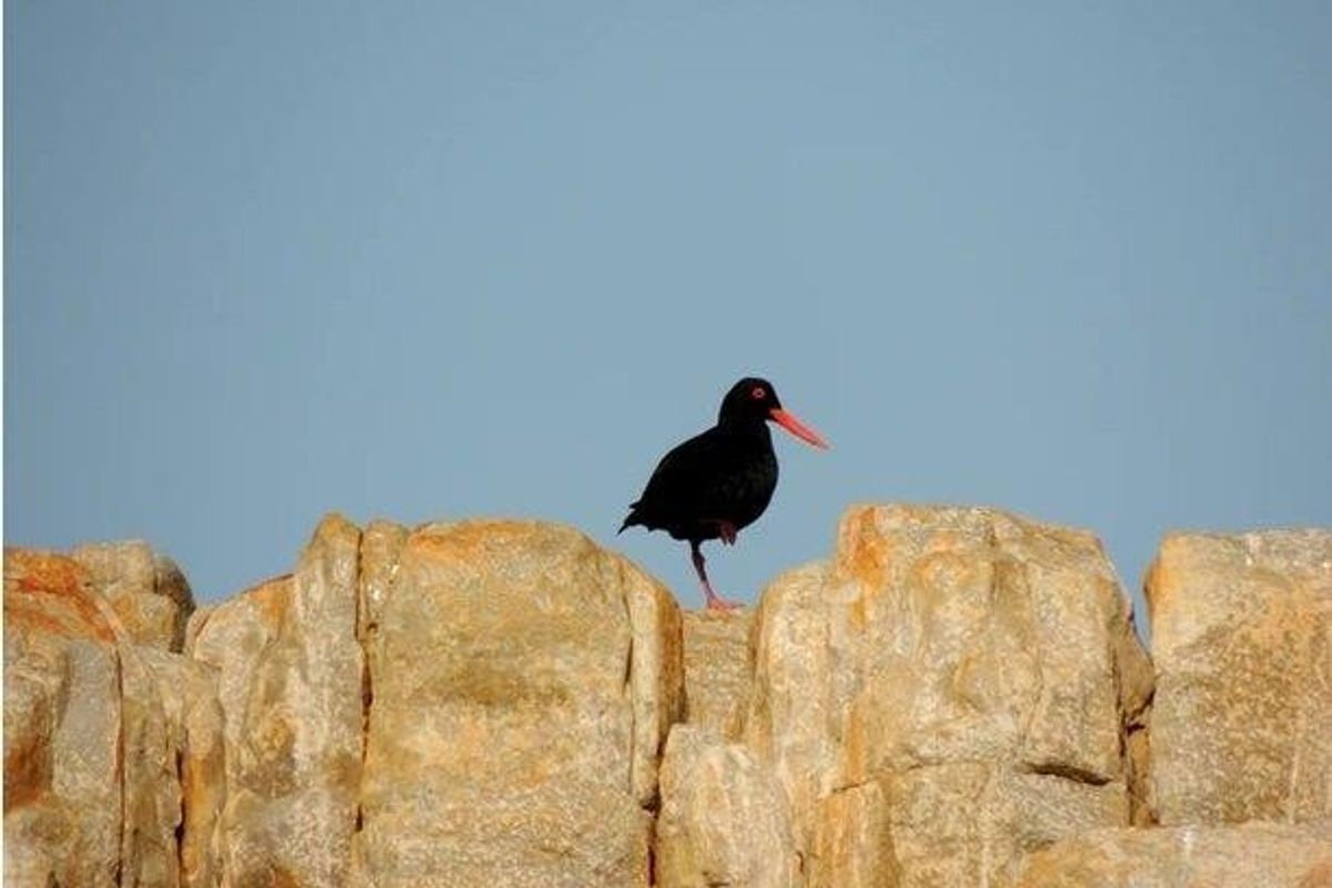 Farm For Sale in Stilbaai Rural, Stilbaai - Photo 4