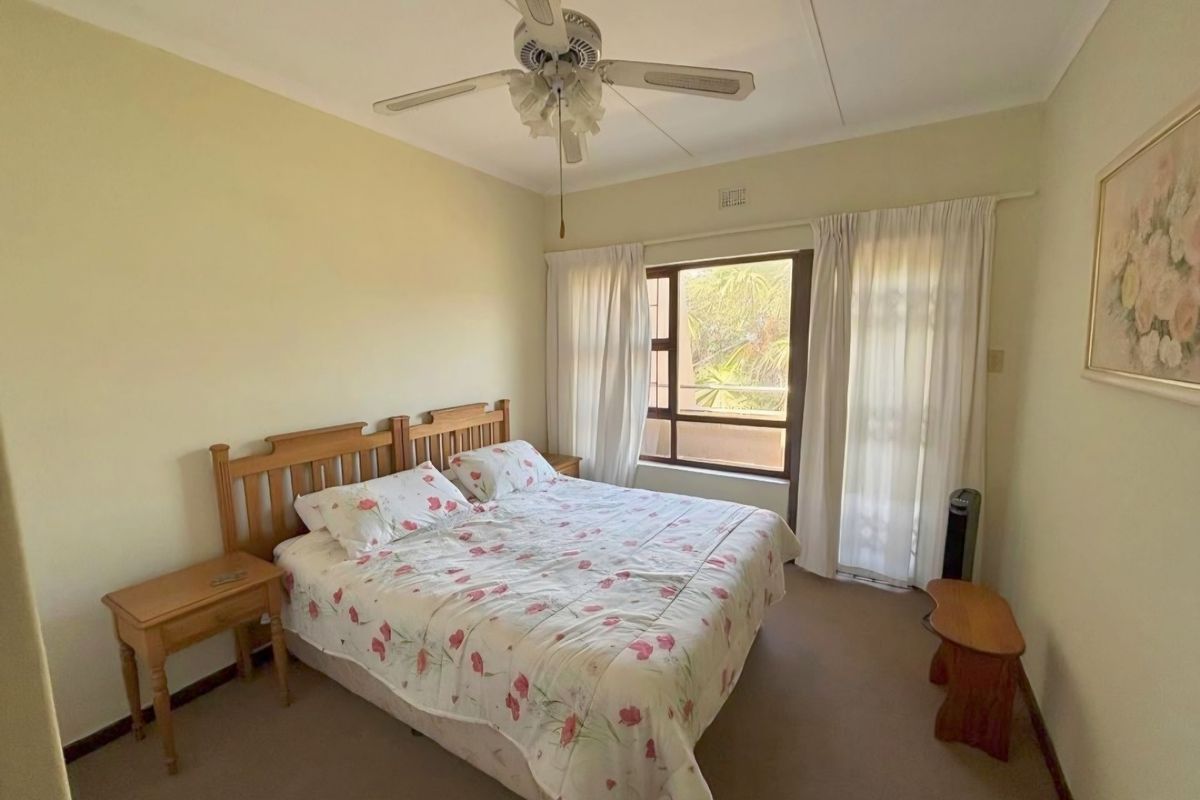 A standard bedroom featuring neutral wall finishes, carpeted flooring, and a ceiling fan, with natural light provided by a window with curtain fixtures.