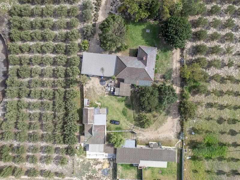 Aerial view of a farm property featuring multiple buildings with corrugated metal roofing, surrounded by extensive orchards and established grounds.