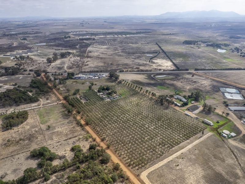 Aerial view of a large farm property featuring extensive orchards, multiple outbuildings, and surrounding rural landscape.