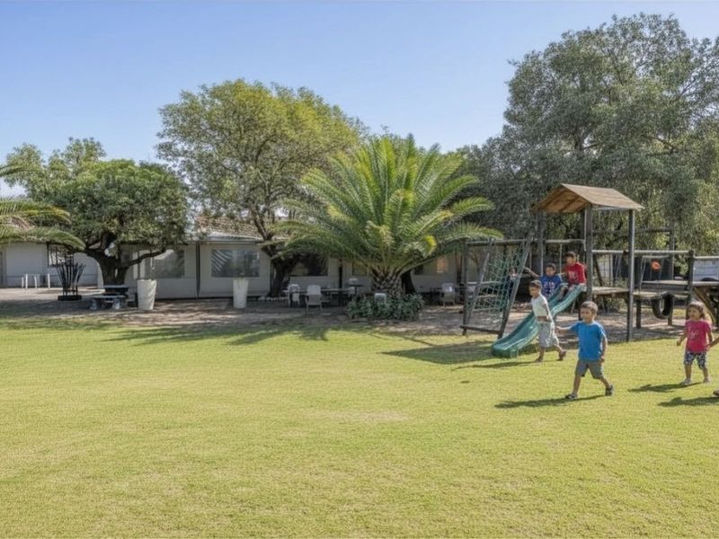 A spacious, well-maintained lawn area featuring mature trees and a palm tree, providing a pleasant outdoor space for recreation.