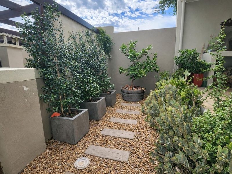 2 Bedroom Townhouse To Rent Central Wellington - Photo 3