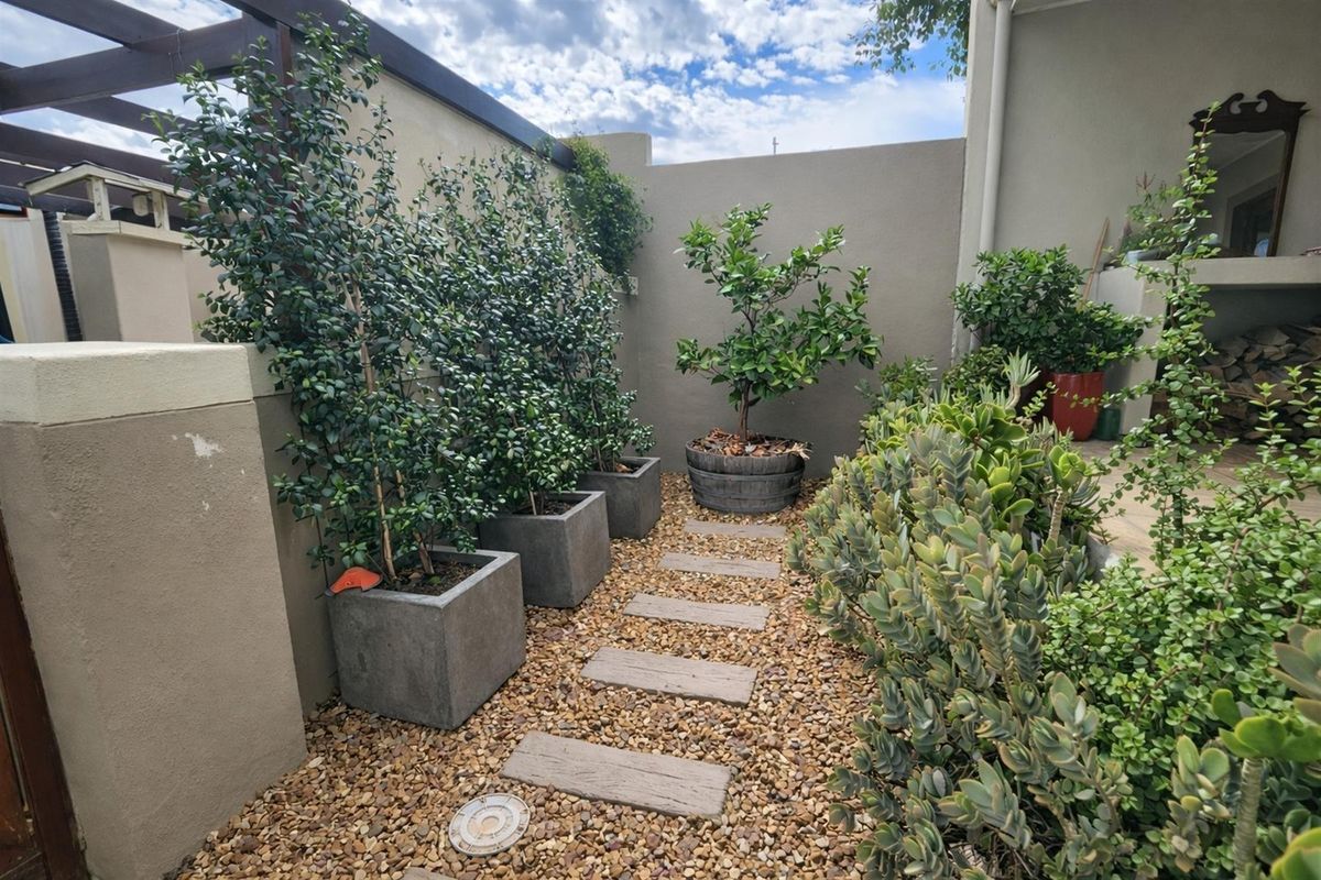2 Bedroom Townhouse To Rent Central Wellington - Photo 3