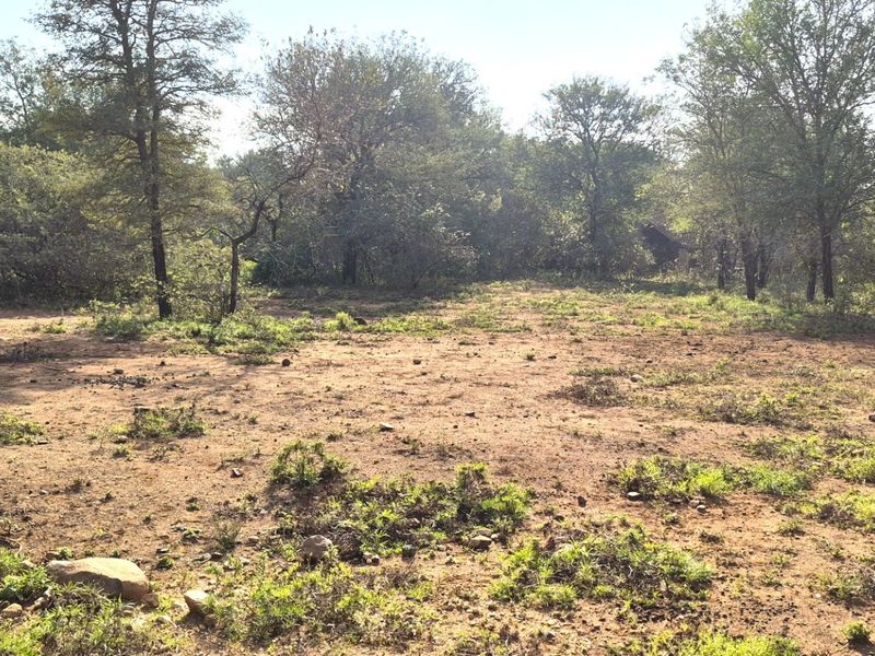 A view of a vacant residential plot featuring natural vegetation, indigenous trees, and open sandy ground, suitable for future development.