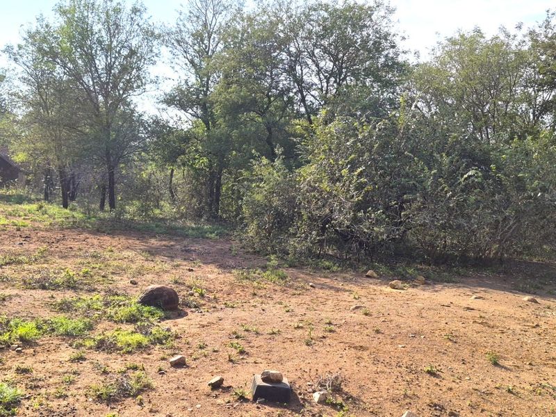 A view of the vacant residential land featuring natural vegetation, mature trees, and open ground, suitable for future development.
