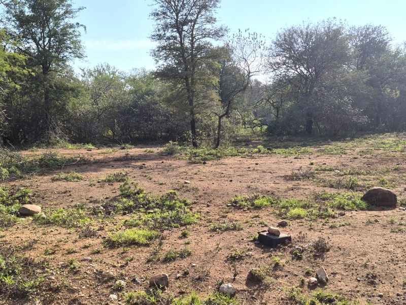 A view of a vacant residential plot featuring natural vegetation, mature trees, and open ground, suitable for future development.