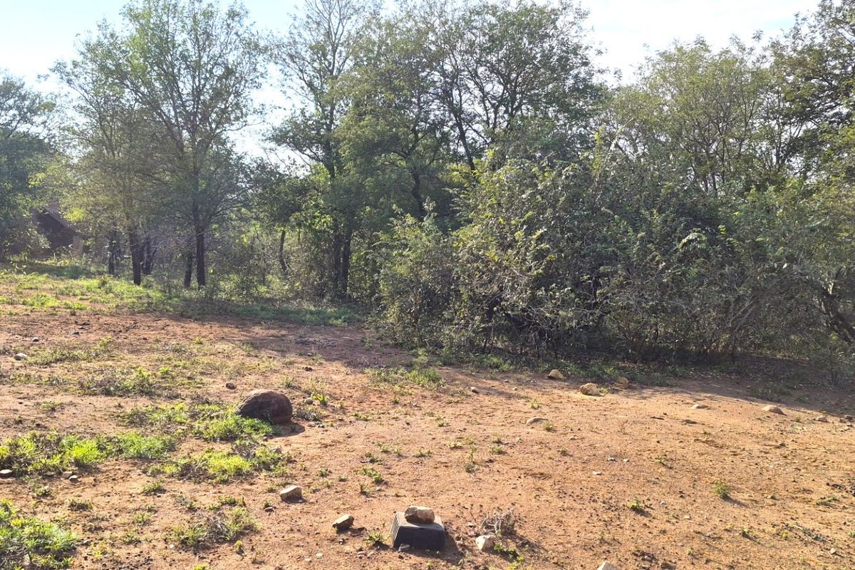 LARGE VACANT STAND WITHIN WALKING DISTANCE TO THE CROCODILE RIVER - Photo 2