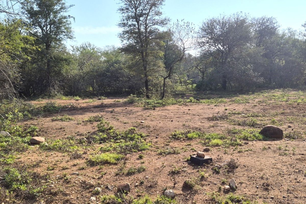 LARGE VACANT STAND WITHIN WALKING DISTANCE TO THE CROCODILE RIVER - Photo 4