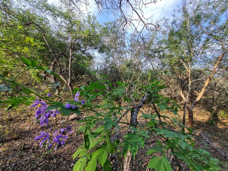 Your Private Piece of Paradise Awaits - Photo 8
