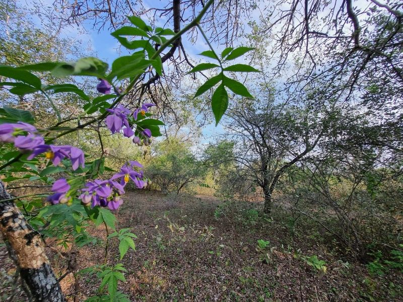 Your Private Piece of Paradise Awaits - Photo 6