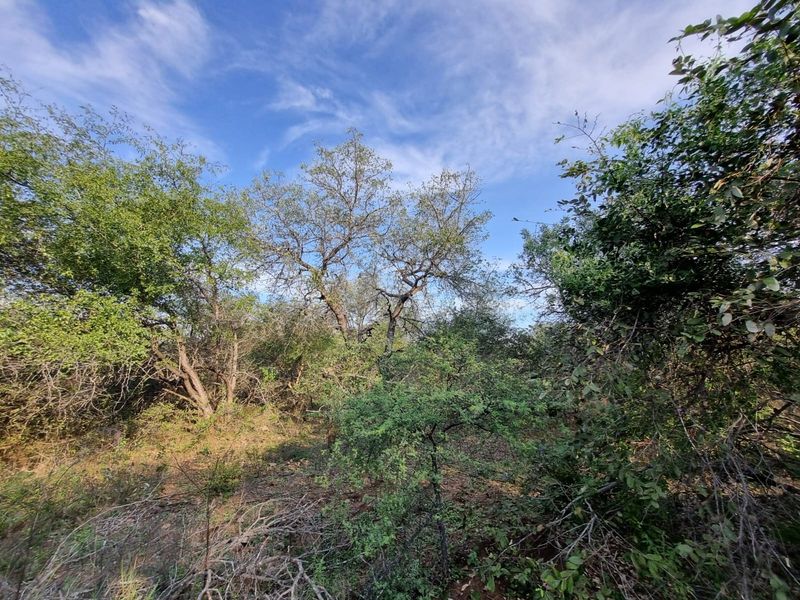 Your Private Piece of Paradise Awaits - Photo 5