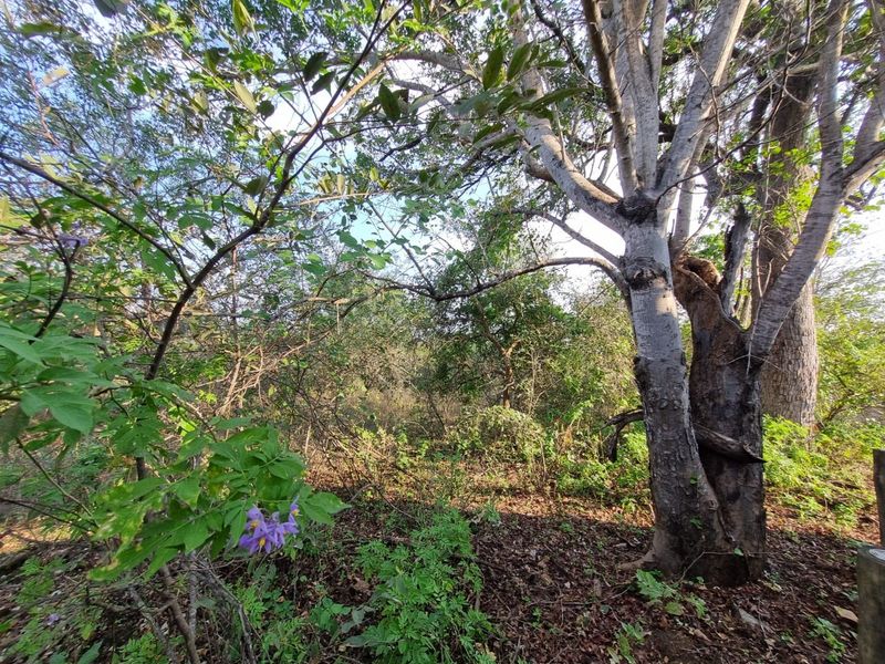 Your Private Piece of Paradise Awaits - Photo 4