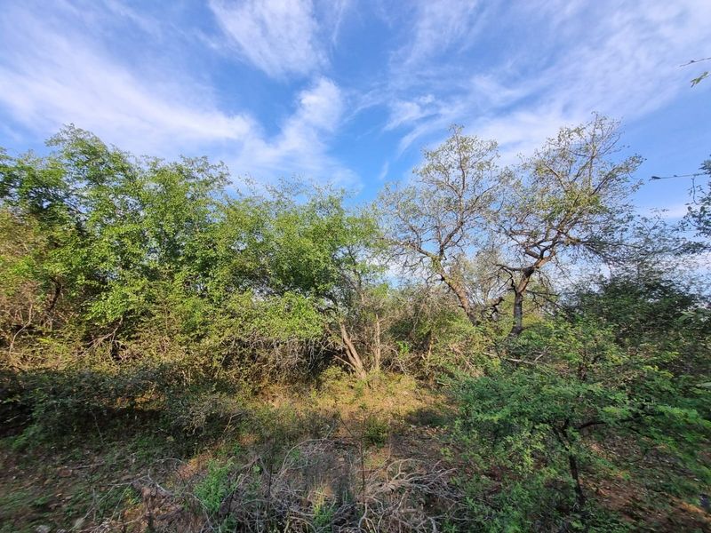 Your Private Piece of Paradise Awaits - Photo 3