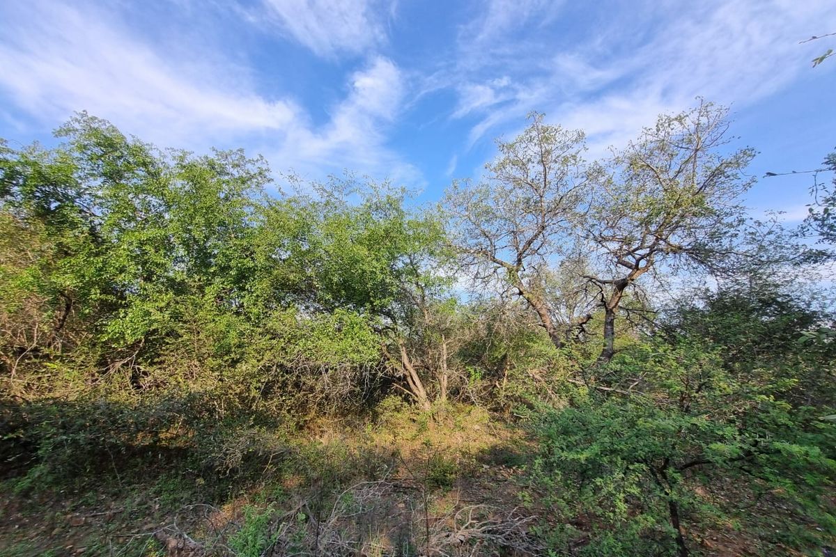 Your Private Piece of Paradise Awaits - Photo 3